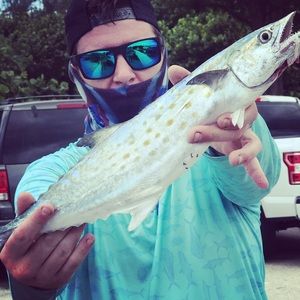 Meet your Posher, Adam